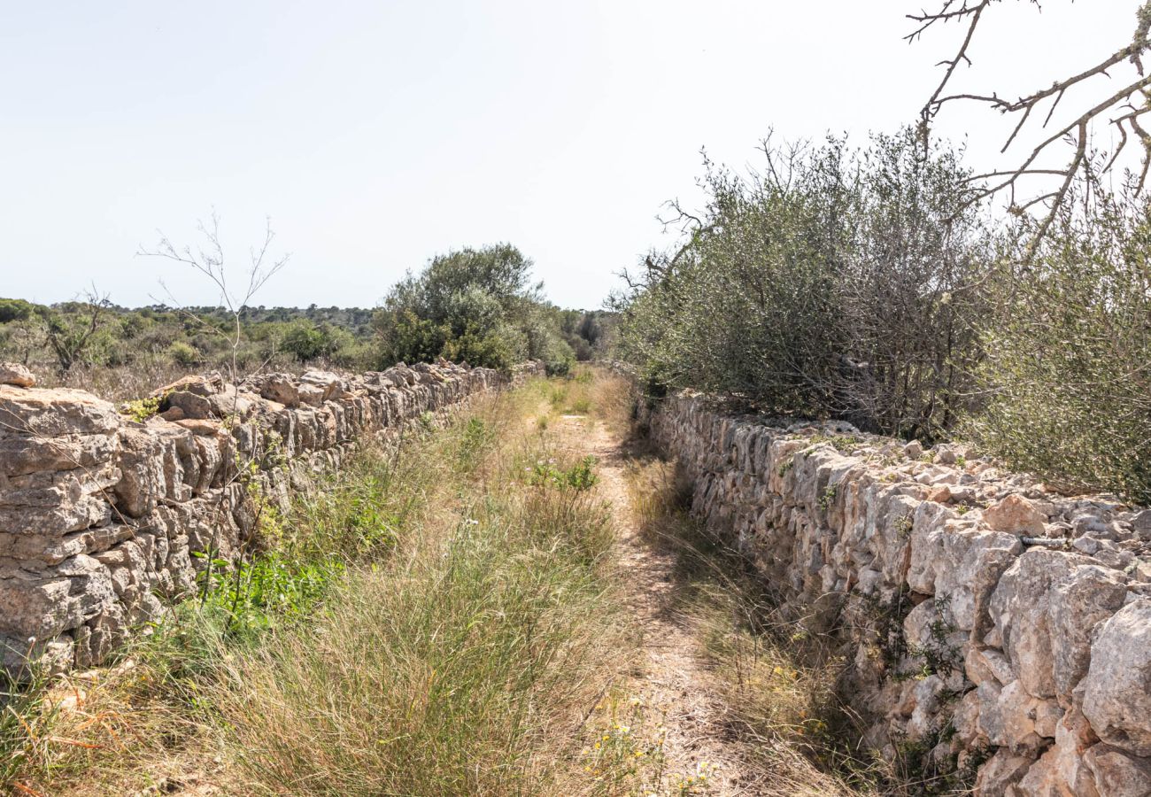 Parcela en Santanyi - Terreno de finca cerca de Santanyí a 500 m de la playa con licencia de obra Parcela en Santanyi - Terreno de finca cerca de Santanyí a 500 m de la playa con licencia de obra