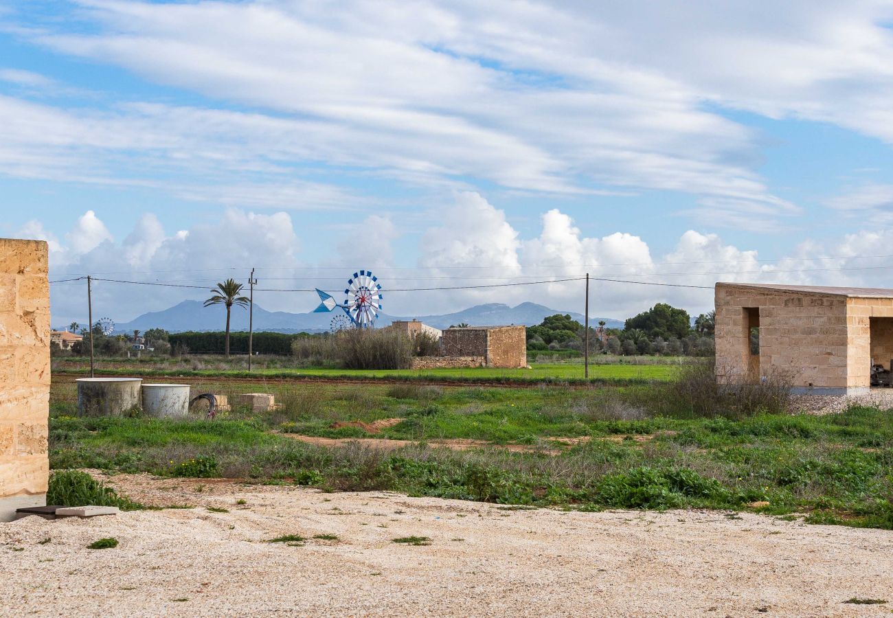 Country house in Campos - Finca Campo Sol Modern Finca in Campos with Pool for Long Term Rental in Mallorca