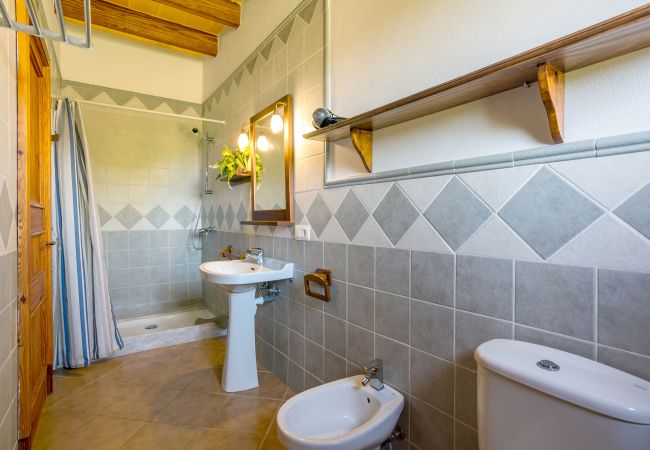 Country house in Porto Petro - Finca Domingo traditional holiday house in a quiet area in Portopetro Country house in Porto Petro - Finca Domingo traditional holiday house in a quiet area in Portopetro