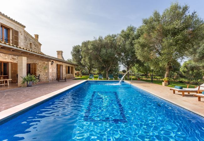 Country house in Porto Petro - Finca Domingo traditional holiday house in a quiet area in Portopetro Country house in Porto Petro - Finca Domingo traditional holiday house in a quiet area in Portopetro