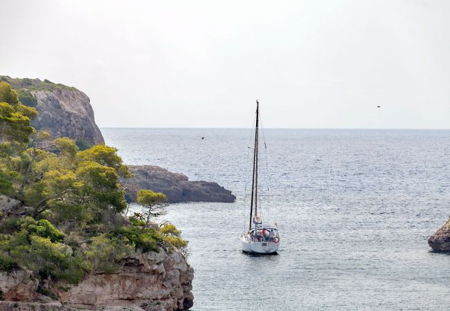 Apartment in Cala Figuera - Harbour View 2 Holiday Apartment by the Sea in a Lively Fishing Village in Cala Figuera Apartment in Cala Figuera - Harbour View 2 Holiday Apartment by the Sea in a Lively Fishing Village in Cala Figuera