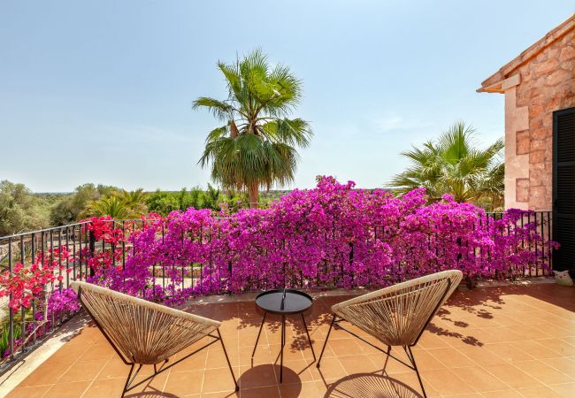 Country house in Campos - Finca Diez Grados Mas Mallorcan finca with pool in the quiet countryside of Campos Country house in Campos - Finca Diez Grados Mas Mallorcan finca with pool in the quiet countryside of Campos