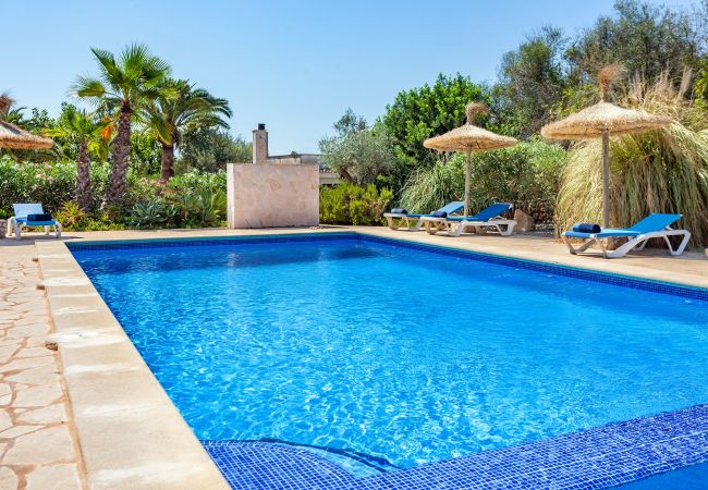 Apartment in Santanyi - Can Flores Flat 3 >>  apartment in private villa with pool close to the beach