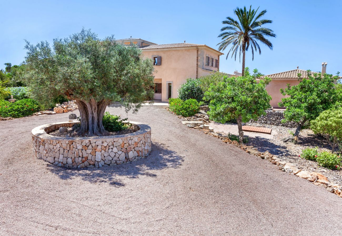 Country house in Cala Figuera - Can Molino Villa in Santanyi with pool