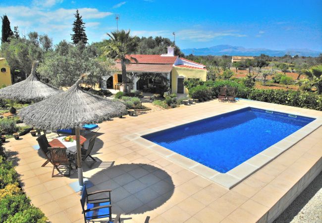 holiday finca, swimming pool, nature, Mallorca, holidays
