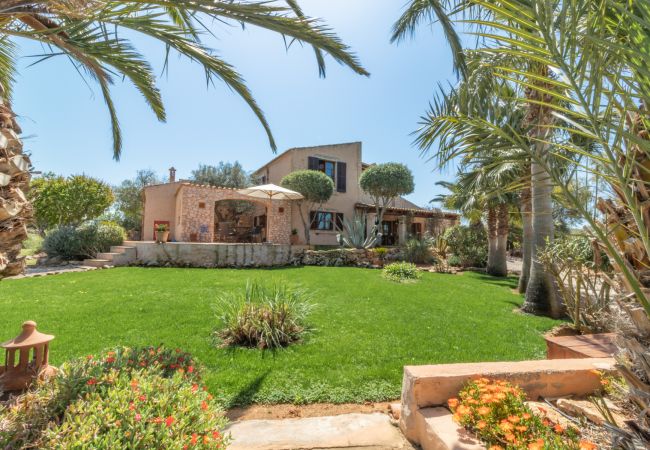 Country house in Santanyi - Finca Aries Mallorcan style finca for monthly rentals in Santanyi Country house in Santanyi - Finca Aries Mallorcan style finca for monthly rentals in Santanyi