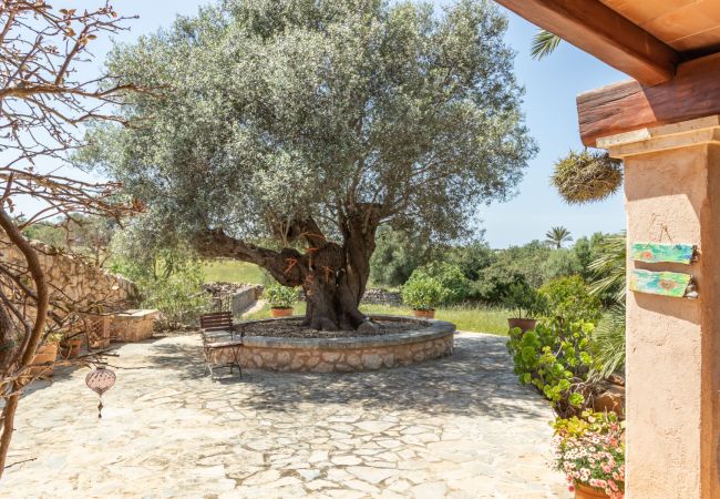 Country house in Santanyi - Finca Aries Mallorcan style finca for monthly rentals in Santanyi Country house in Santanyi - Finca Aries Mallorcan style finca for monthly rentals in Santanyi