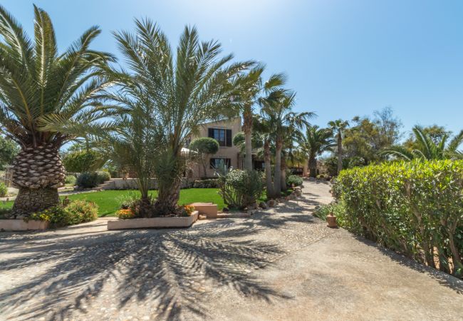 Country house in Santanyi - Finca Aries Mallorcan style finca for monthly rentals in Santanyi Country house in Santanyi - Finca Aries Mallorcan style finca for monthly rentals in Santanyi