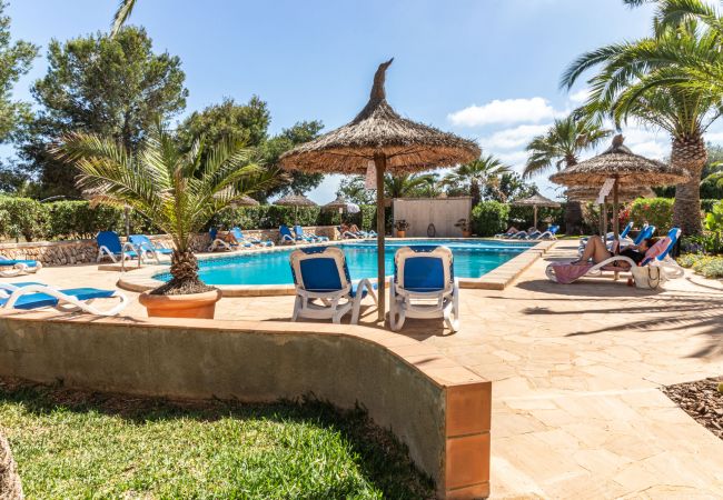 Apartment in Cala Santanyi - Holiday Apartment Buena Vista  with sea views, pool and close to the beach in Cala Santanyí Apartment in Cala Santanyi - Holiday Apartment Buena Vista  with sea views, pool and close to the beach in Cala Santanyí