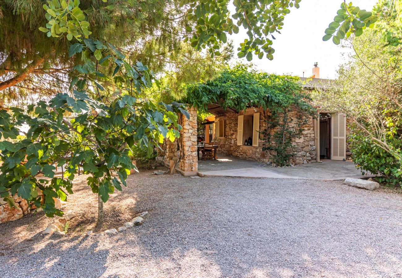 Country house in Santanyi - Can Blai Blai - country house with idyllic garden, views and swimming pool 