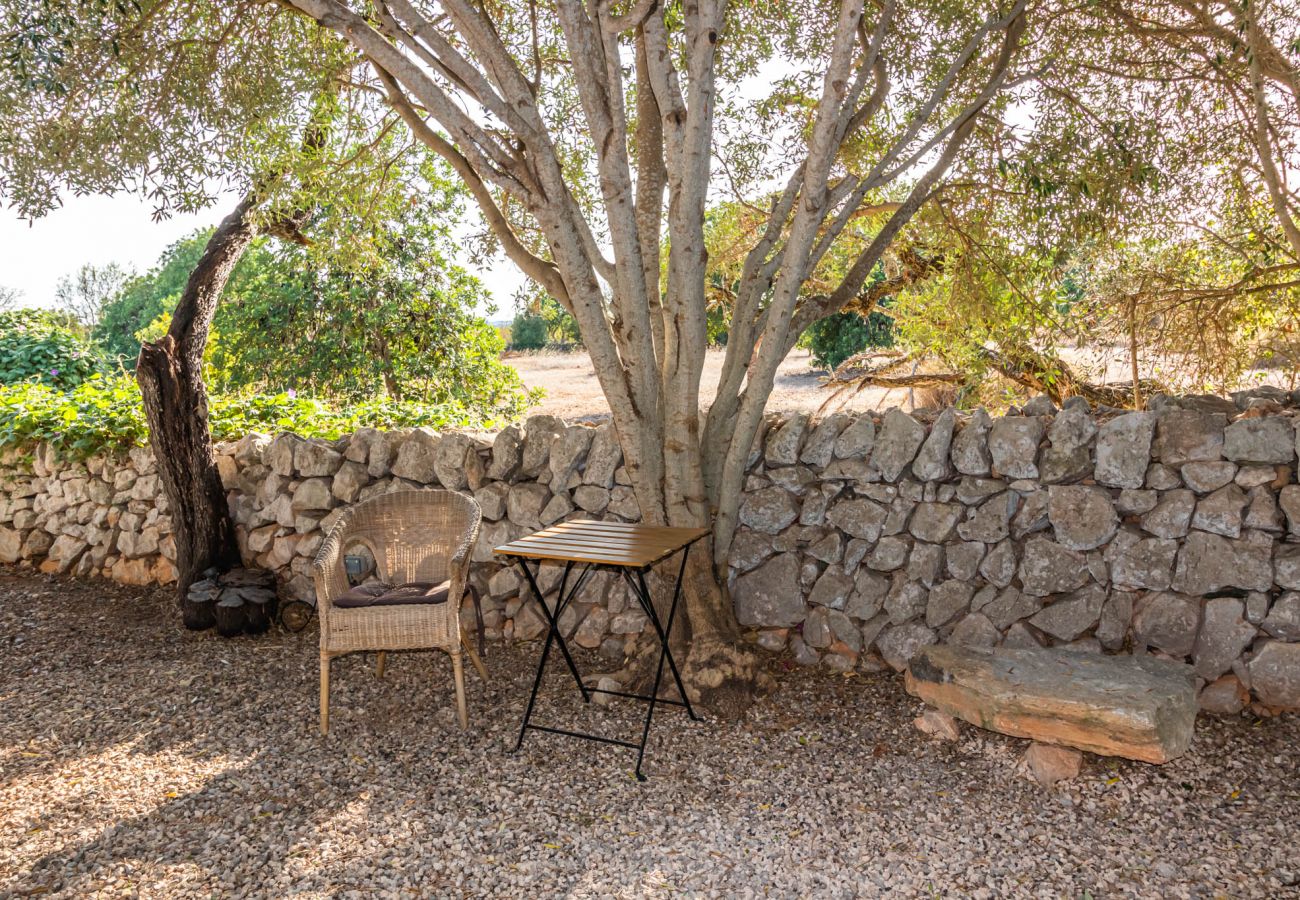 Country house in Santanyi - Can Blai Blai country house with garden, views and swimming pool in Santanyi