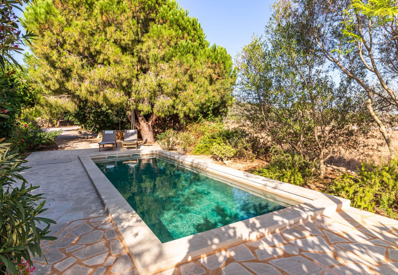 Country house in Santanyi - Can Blai Blai - country house with idyllic garden, views and swimming pool 