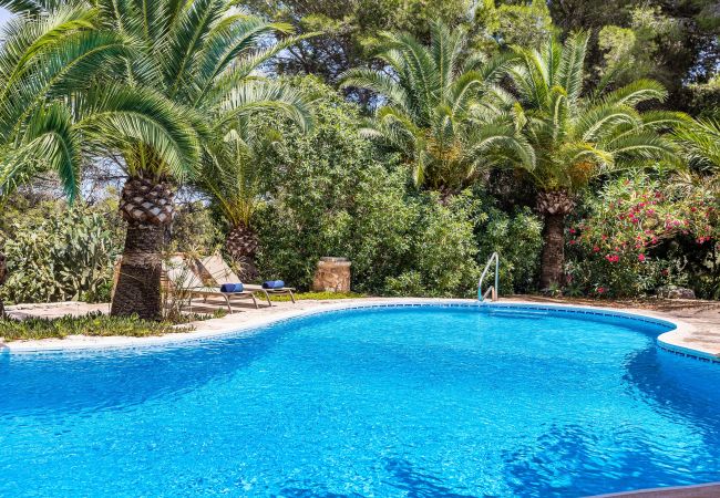 Apartment in Santanyi - Holiday apartment Oasis on the upper floor with comfort and charm, pool, and a prime location close to the beach in Cala Santanyí  Apartment in Santanyi - Holiday apartment Oasis on the upper floor with comfort and charm, pool, and a prime location close to the beach in Cala Santanyí
