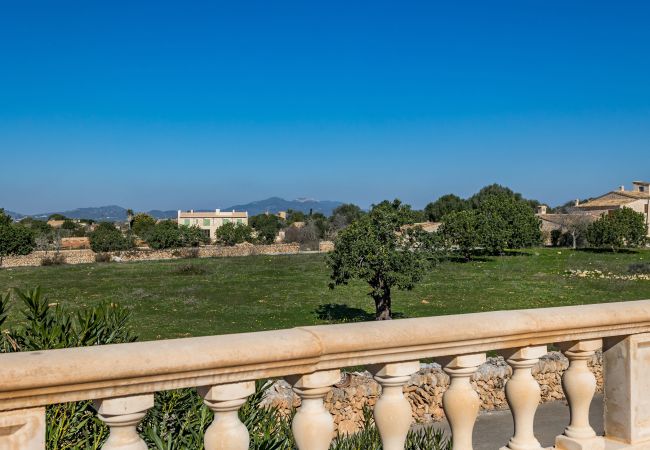 House in Porto Petro - Casa Far bright and cozy vacation home with pool in Porto Petro House in Porto Petro - Casa Far bright and cozy vacation home with pool in Porto Petro