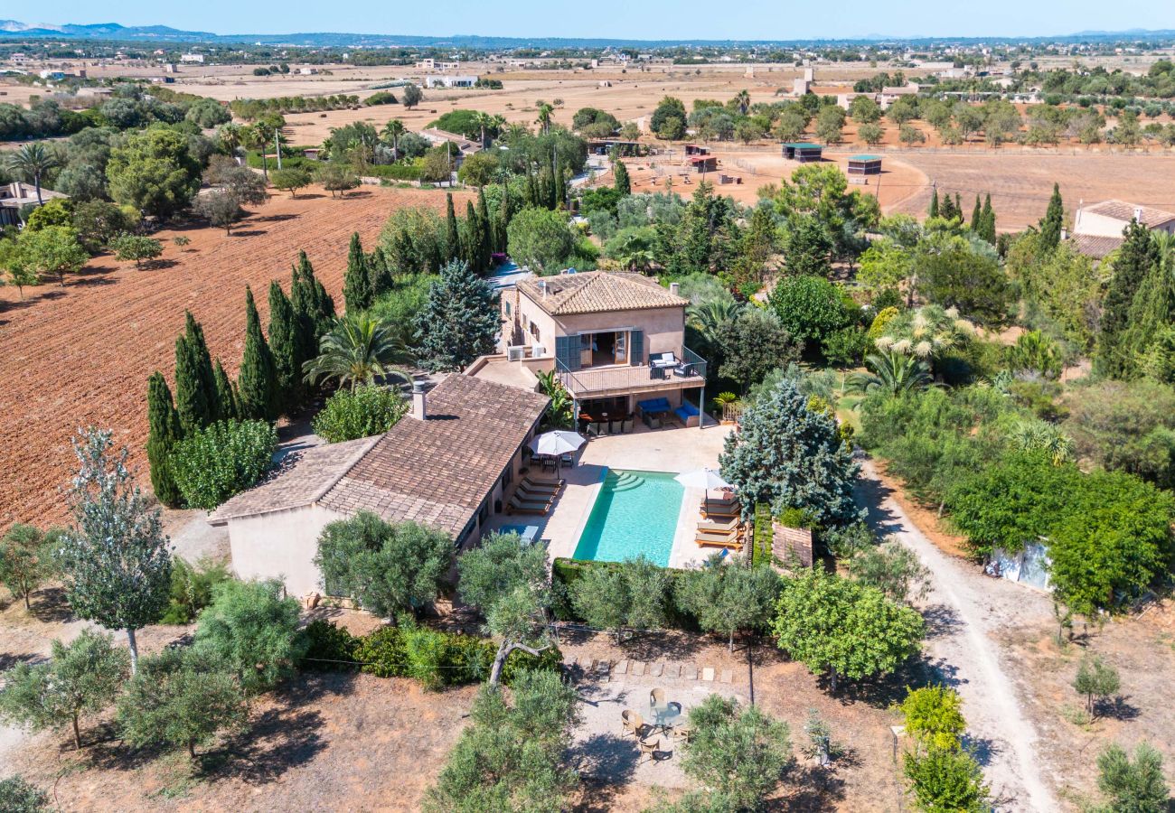 House in Campos - Holiday House Can Riera Stylish accommodation with pool for 12 people near Es Trenc beach