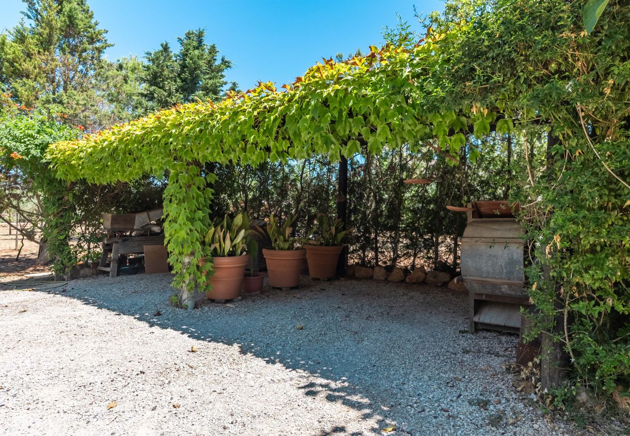 House in Campos - Holiday House Can Riera Stylish accommodation with pool for 12 people near Es Trenc beach