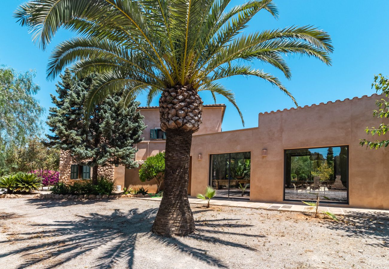 House in Campos - Holiday House Can Riera Stylish accommodation with pool for 12 people near Es Trenc beach