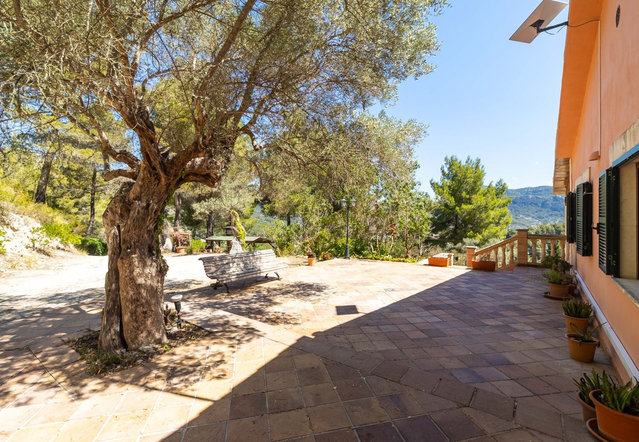 Country house in Puigpunyent - Exclusive Finca in Mallorca’s Tramuntana for Monthly Rental