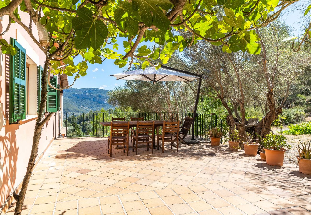 Country house in Puigpunyent - Exclusive Finca in Mallorca’s Tramuntana for Monthly Rental