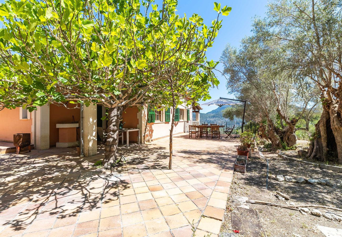 Country house in Puigpunyent - Exclusive Finca in Mallorca’s Tramuntana for Monthly Rental