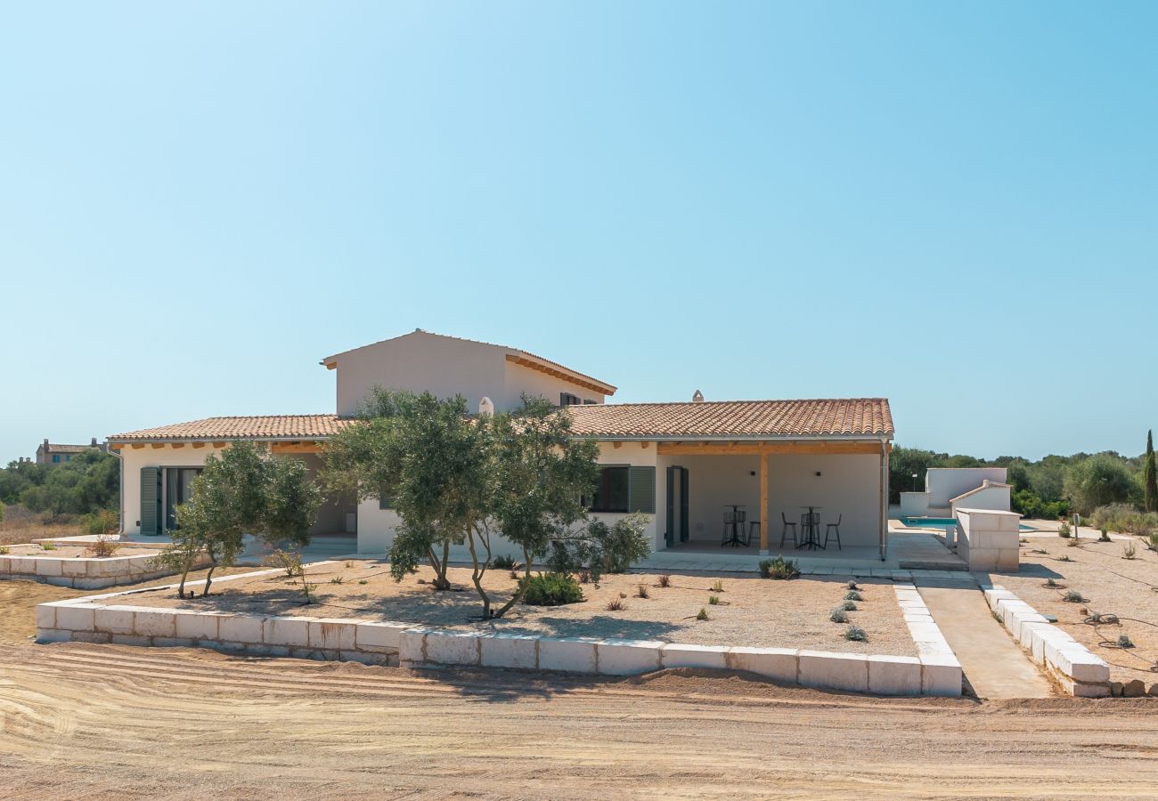 Villa in Ses Salines - The Green Olive