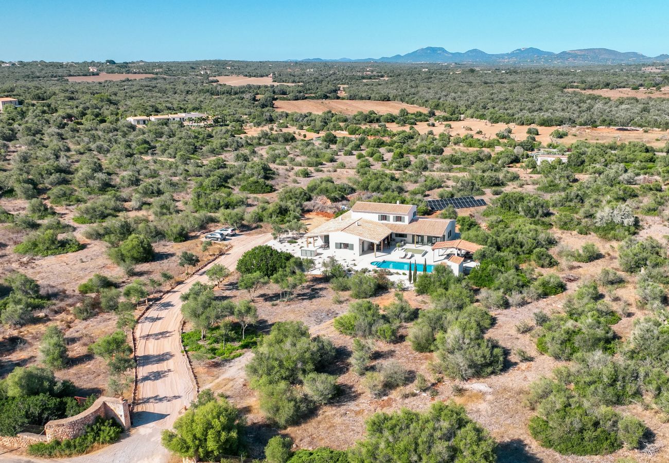 Villa in Ses Salines - Villa Olivo modern holiday home with pool in Mallorca near Ses Salines and Es Trenc