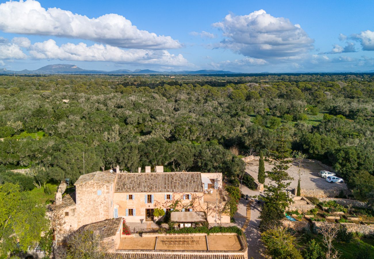 Country house in LLucmajor - Finca Terra Vella luxury finca with up to 11 bedrooms for monthly rental in Mallorca
