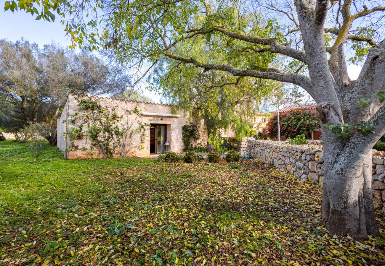 Country house in LLucmajor - Finca Terra Vella luxury finca with up to 11 bedrooms for monthly rental in Mallorca