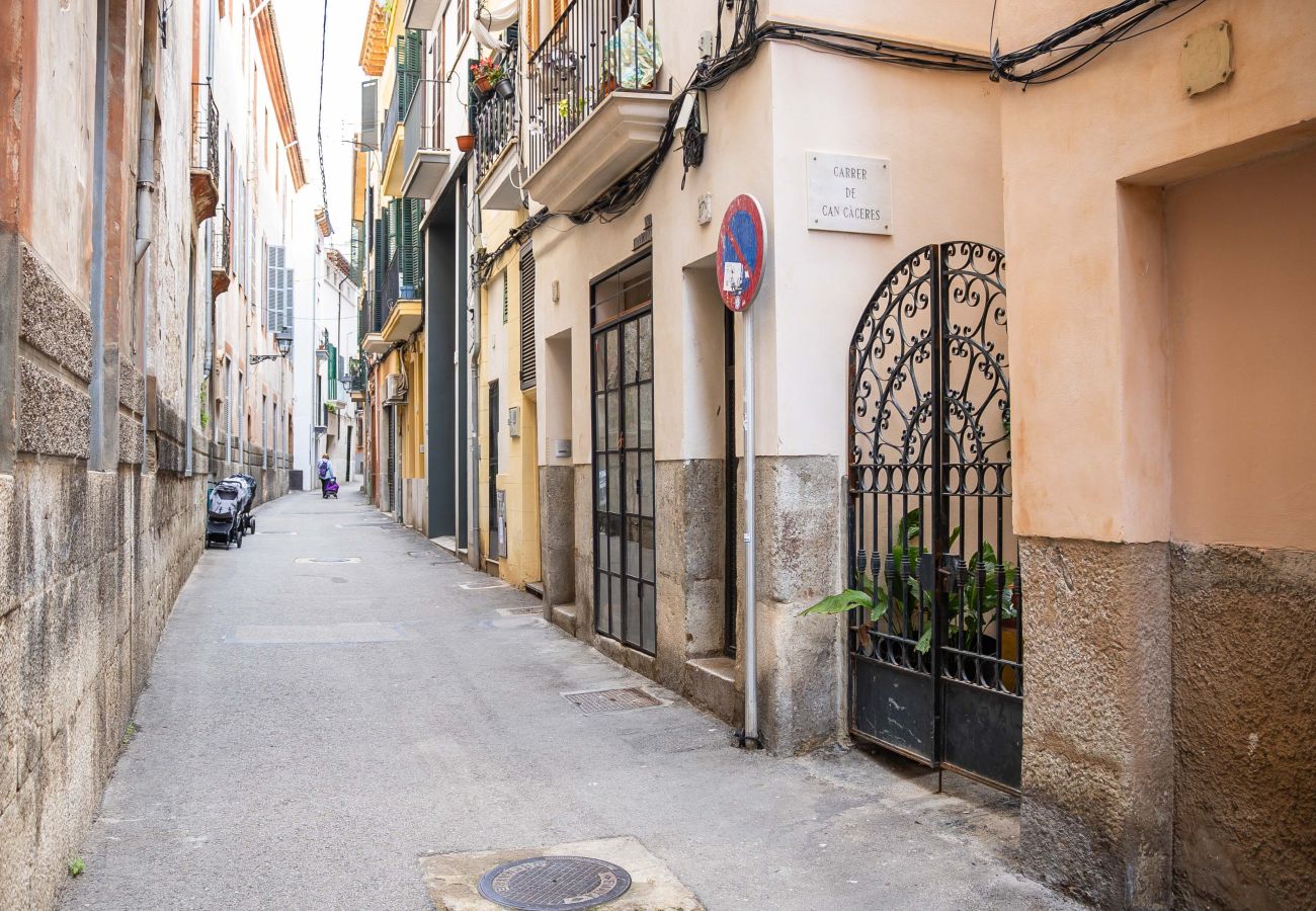 Studio in Palma  - La Lonja Studio Palma Old Town for Monthly Rental