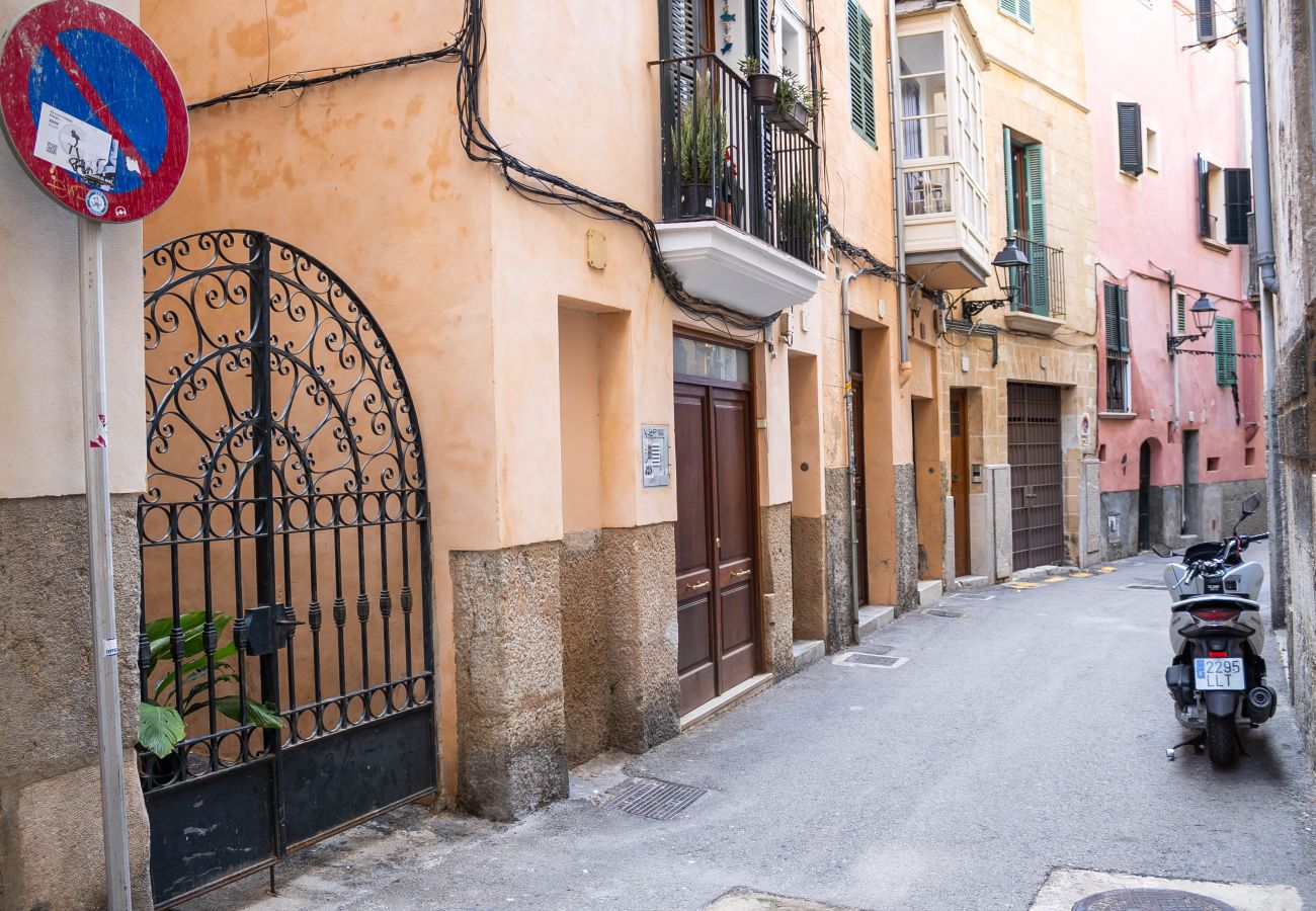 Studio in Palma  - La Lonja Studio Palma Old Town for Monthly Rental