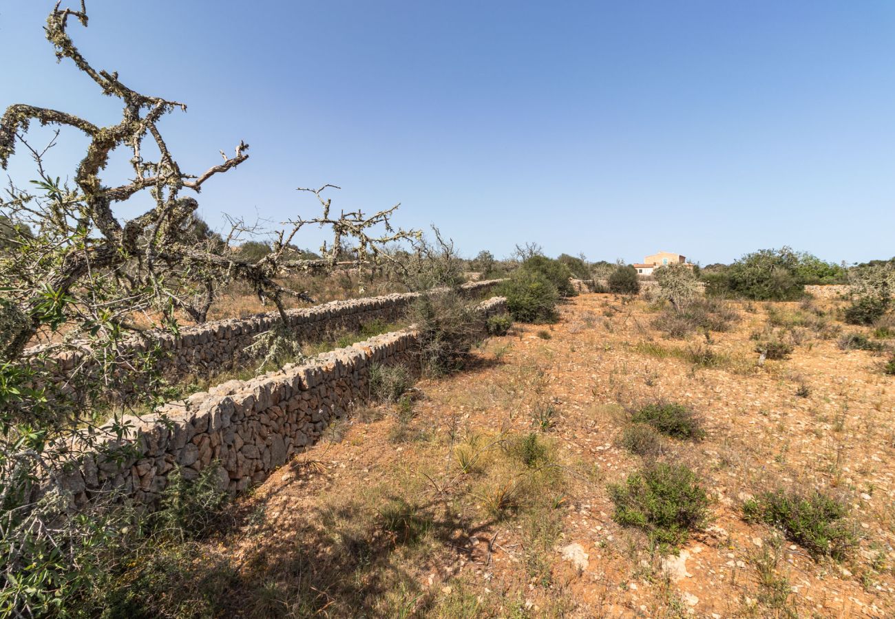 Plot in Santanyi - Finca plot near Santanyí 500 m from the beach with building permit Plot in Santanyi - Finca plot near Santanyí 500 m from the beach with building permit