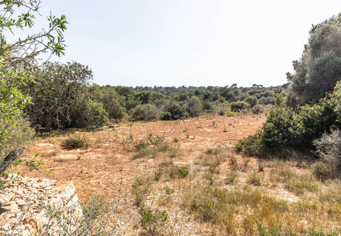 Plot in Santanyi - Finca plot near Santanyí 500 m from the beach with building permit Plot in Santanyi - Finca plot near Santanyí 500 m from the beach with building permit