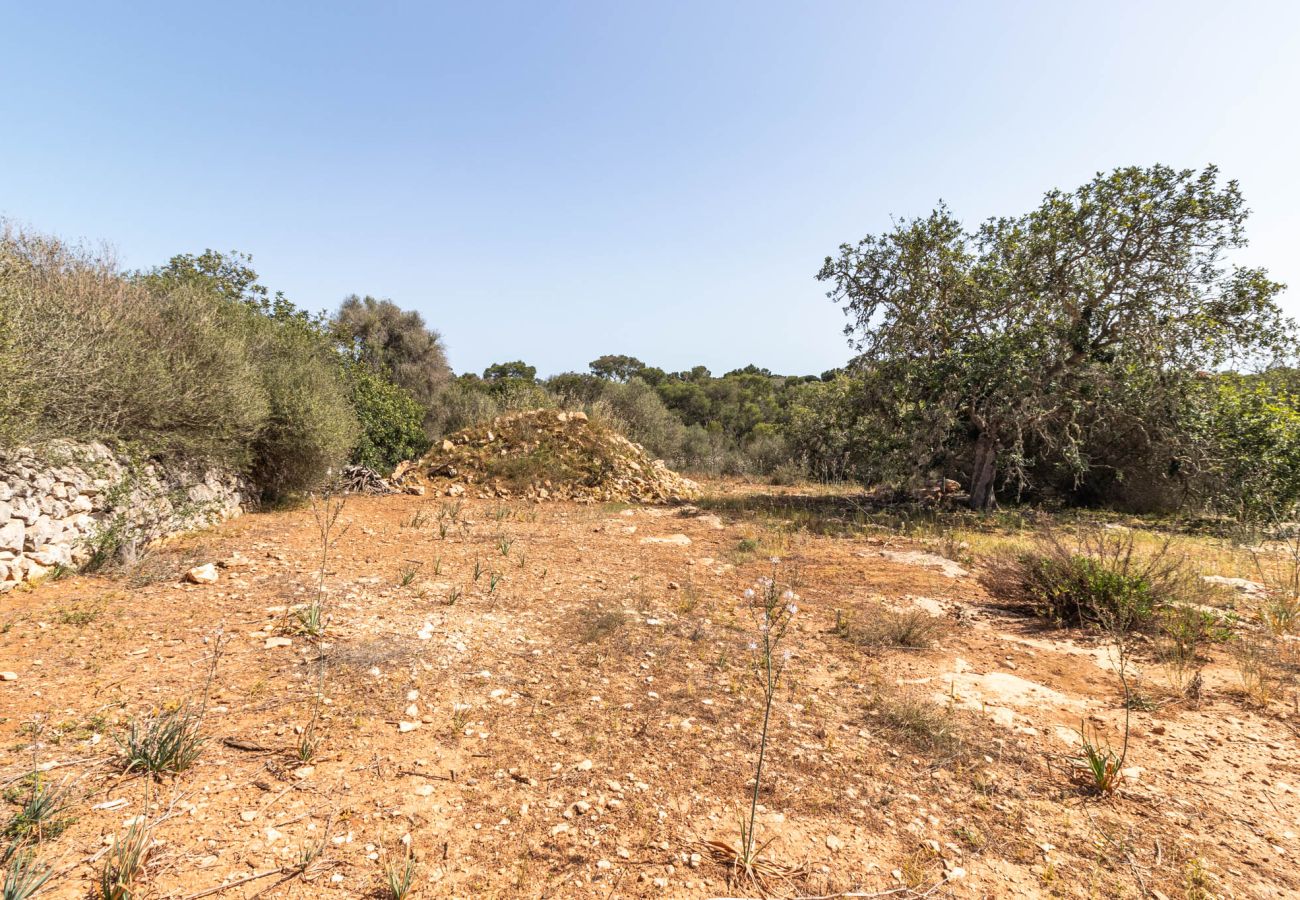 Plot in Santanyi - Finca plot near Santanyí 500 m from the beach with building permit Plot in Santanyi - Finca plot near Santanyí 500 m from the beach with building permit