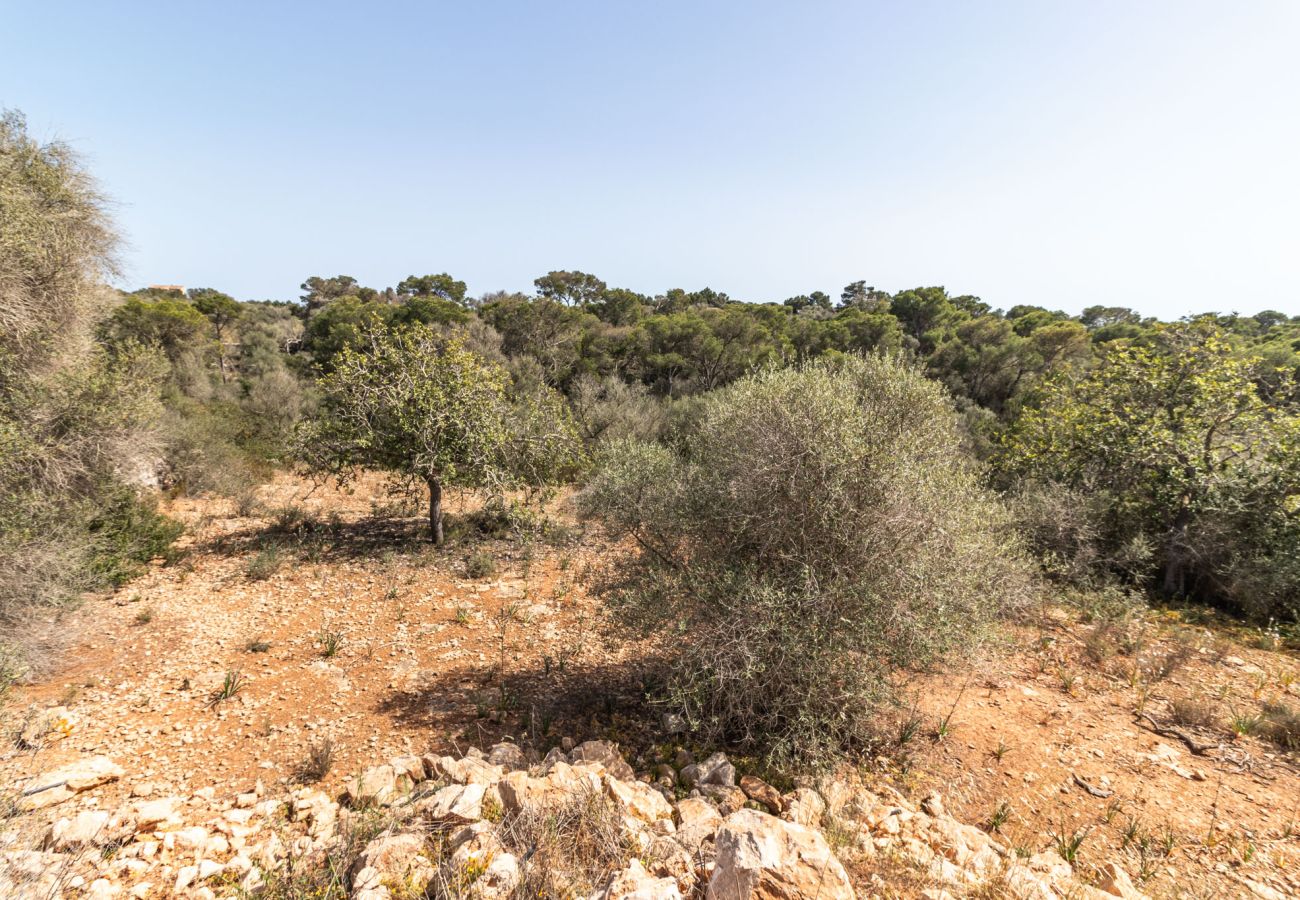 Plot in Santanyi - Finca plot near Santanyí 500 m from the beach with building permit Plot in Santanyi - Finca plot near Santanyí 500 m from the beach with building permit