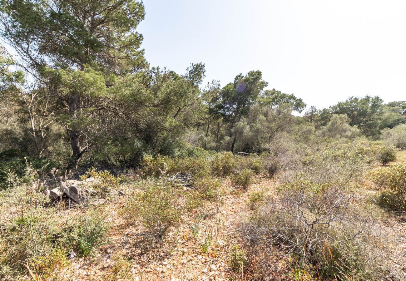 Plot in Santanyi - Finca plot near Santanyí 500 m from the beach with building permit Plot in Santanyi - Finca plot near Santanyí 500 m from the beach with building permit