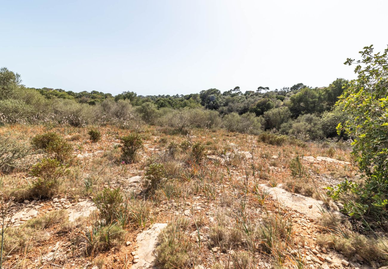 Plot in Santanyi - Finca plot near Santanyí 500 m from the beach with building permit Plot in Santanyi - Finca plot near Santanyí 500 m from the beach with building permit