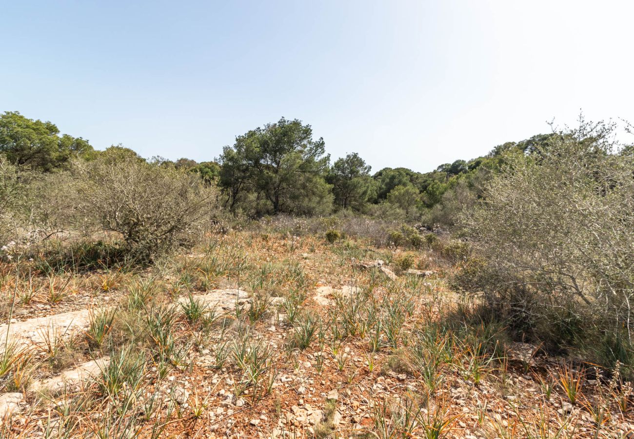 Plot in Santanyi - Finca plot near Santanyí 500 m from the beach with building permit Plot in Santanyi - Finca plot near Santanyí 500 m from the beach with building permit