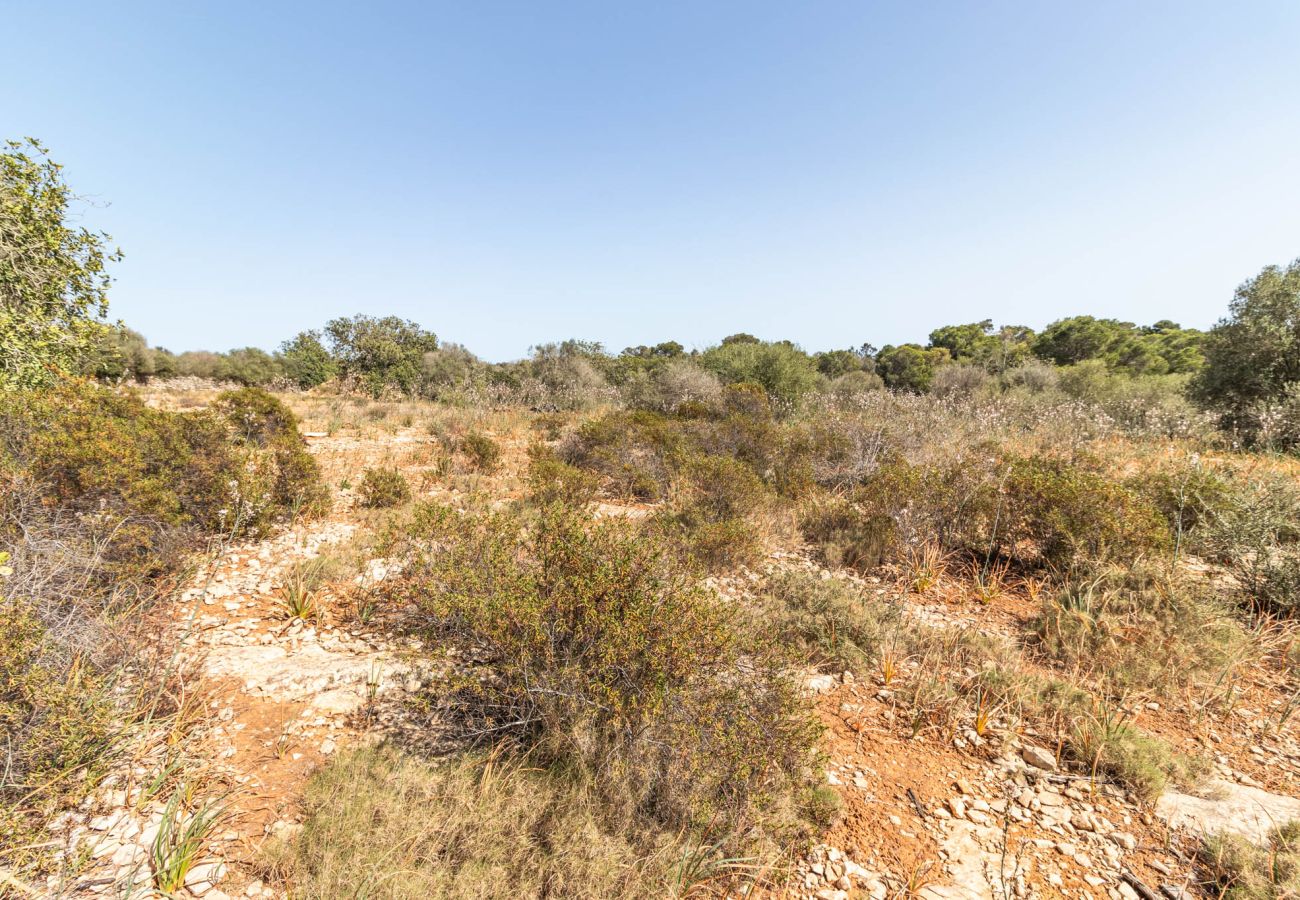 Plot in Santanyi - Finca plot near Santanyí 500 m from the beach with building permit Plot in Santanyi - Finca plot near Santanyí 500 m from the beach with building permit