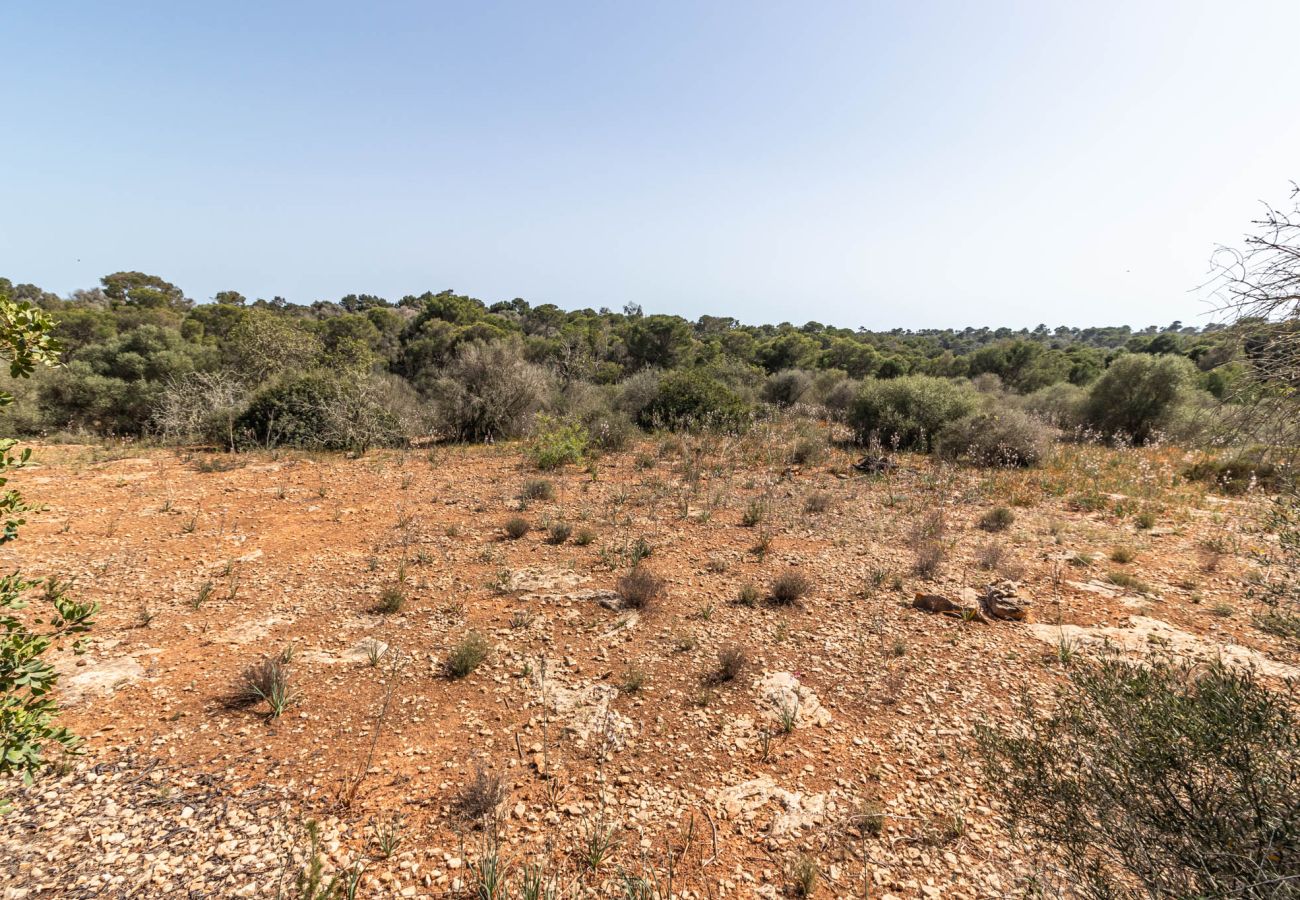 Plot in Santanyi - Finca plot near Santanyí 500 m from the beach with building permit Plot in Santanyi - Finca plot near Santanyí 500 m from the beach with building permit